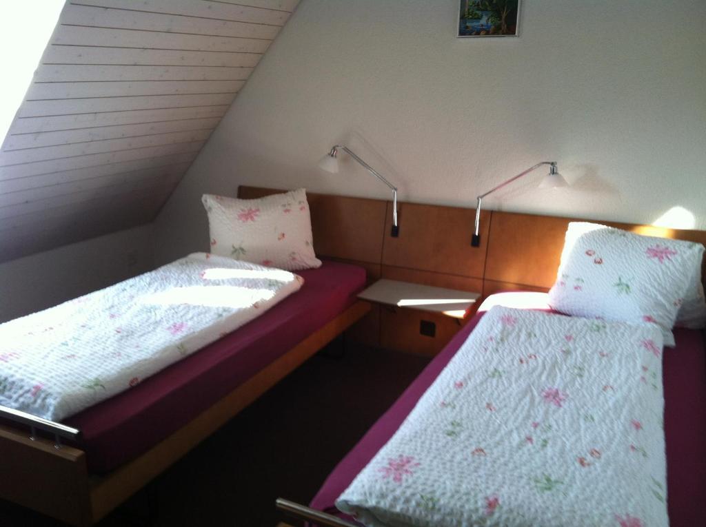 Hotel Restaurant Schiff Möhlin Dış mekan fotoğraf